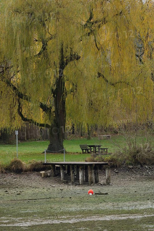 Winter lake drainage as a municipal measure for lake restoration