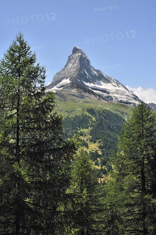 View over the Matterhorn mountain with alpine meadows and pine forests near Zermatt