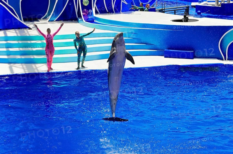 Dolphin Stadium