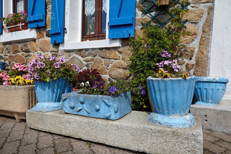 Flower pots in front of a house with natural stone walls in Paimpol
