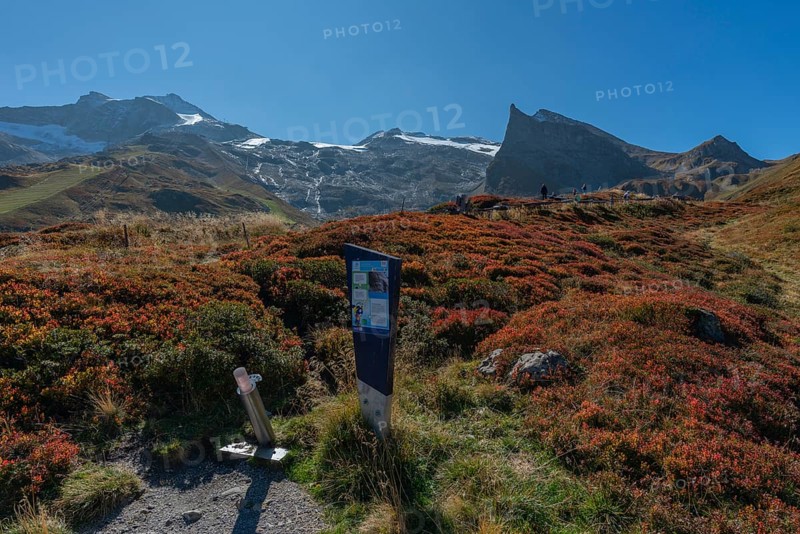 Hintertux Glacier