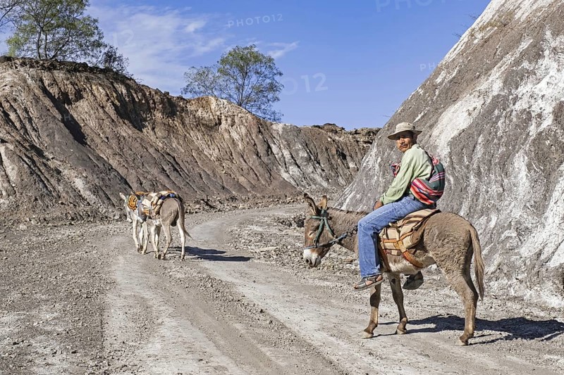 Bolivian Guarani man riding a donkey along mountain road in the Andes