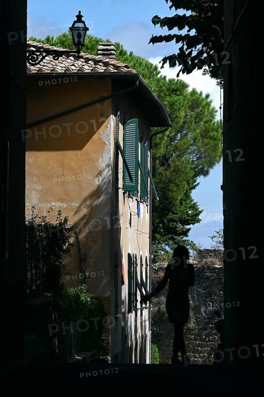 Volterra
