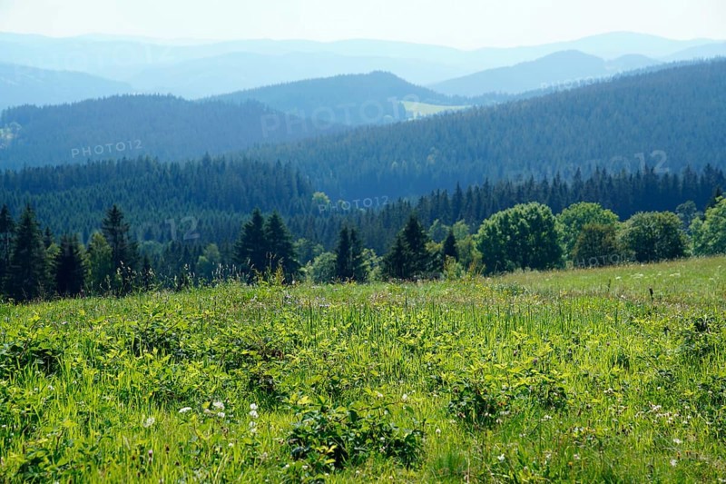 Moravian-Silesian Beskydy