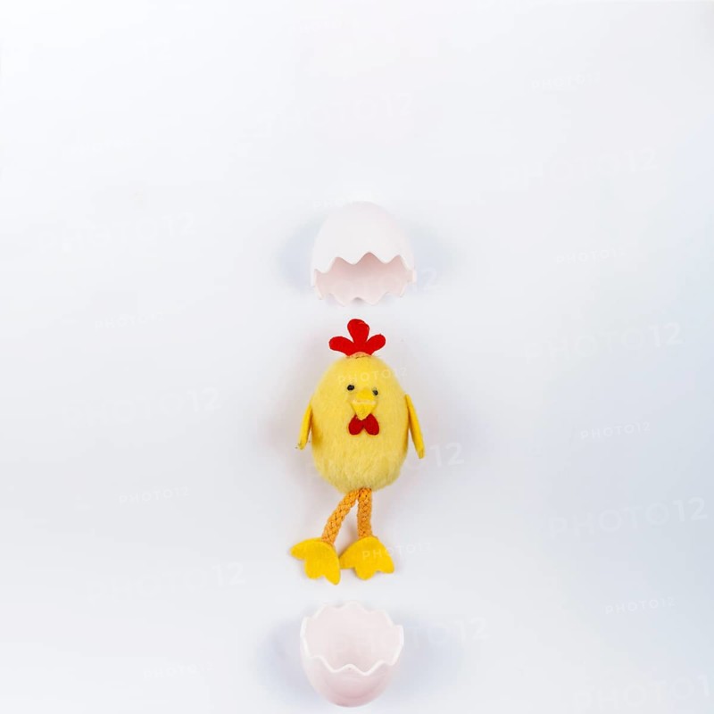Toy small chicken with egg shell white table