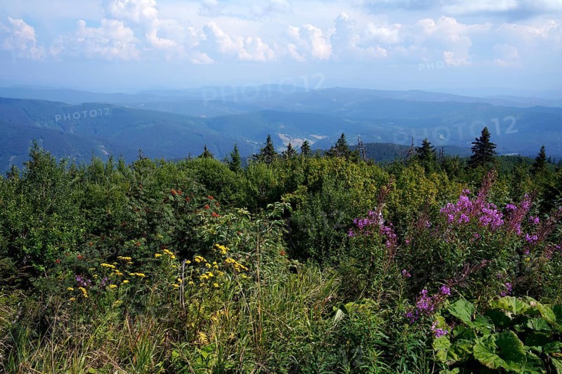 Moravian-Silesian Beskydy