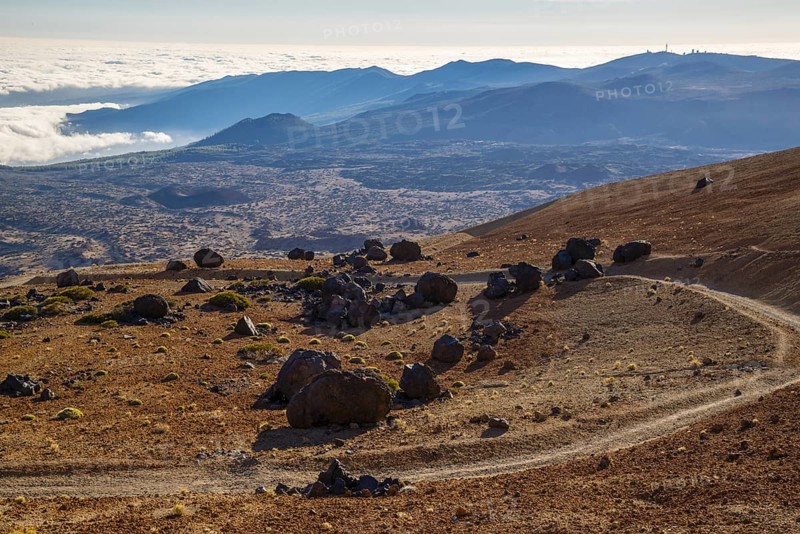 Huevos del Teide