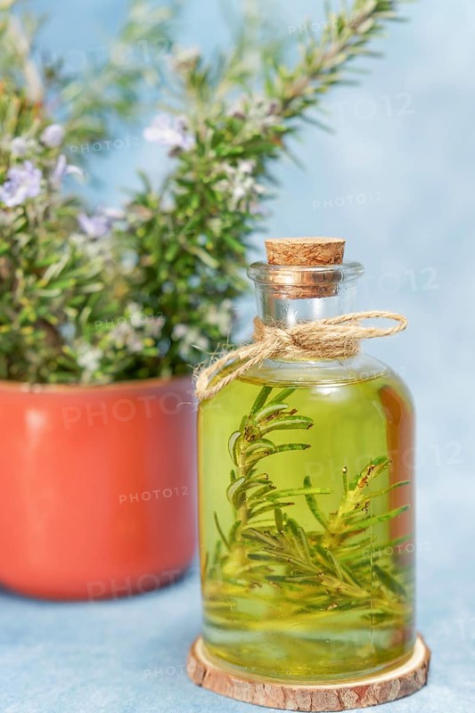 Glass bottle with rosemary essential oil next to a pitcher with fresh rosemary branches and blue background