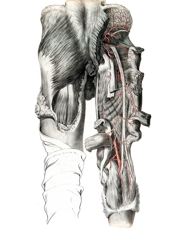Medicine