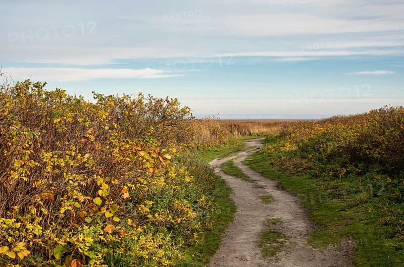 Nature trail through the Morsum-Kliff geotope