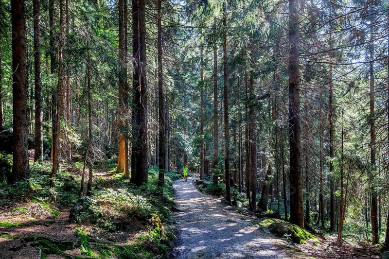 Hiking trail