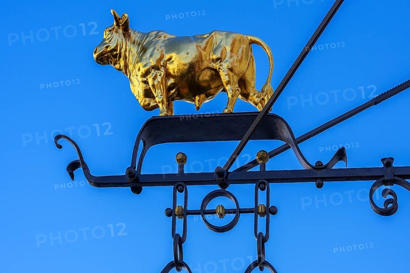 Nose shield with golden bull