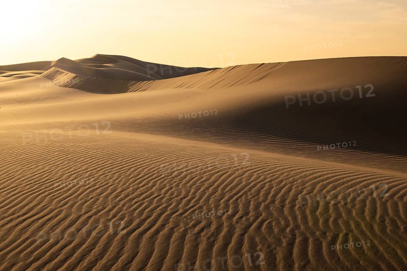 Dorob Dunes National Park