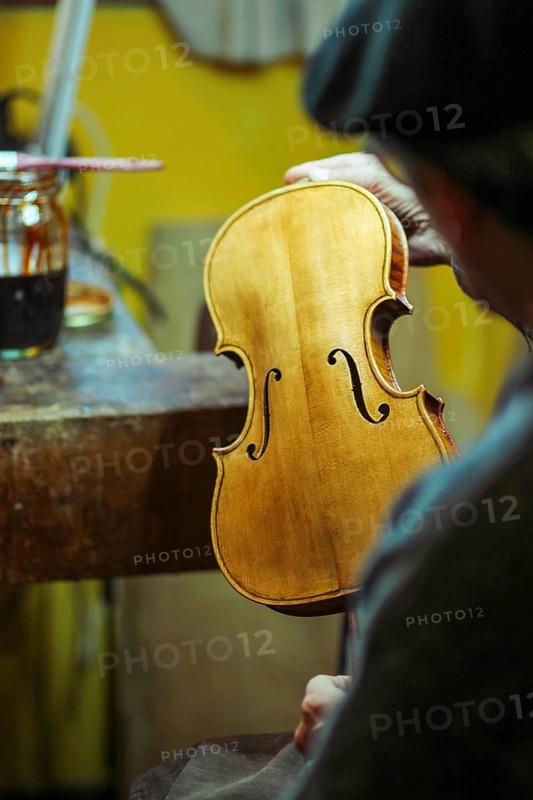 Senior expert violin maker luthier