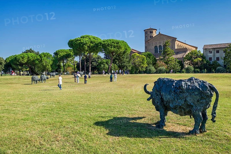 Buffalo sculptures in Parco Papa Giovanni