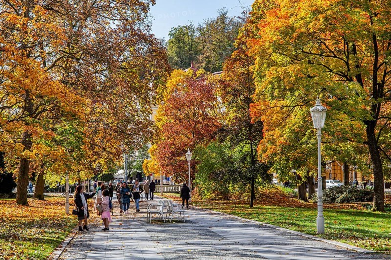Promenade in autumn spa park