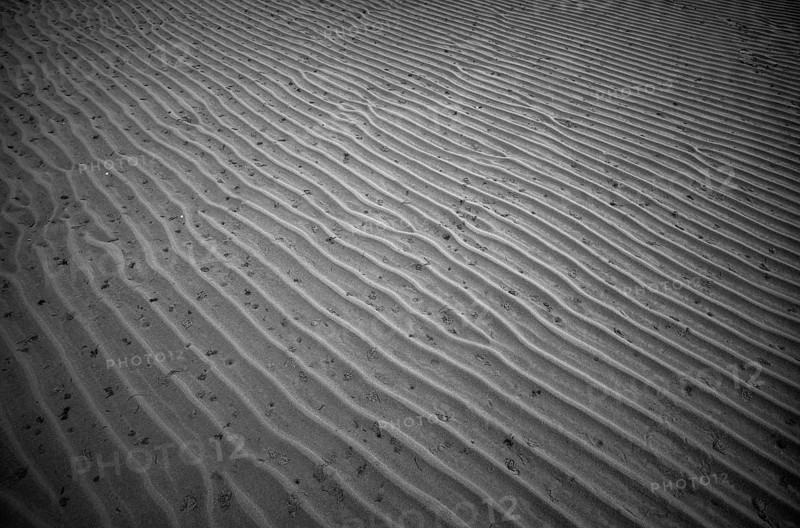 Sand ripples