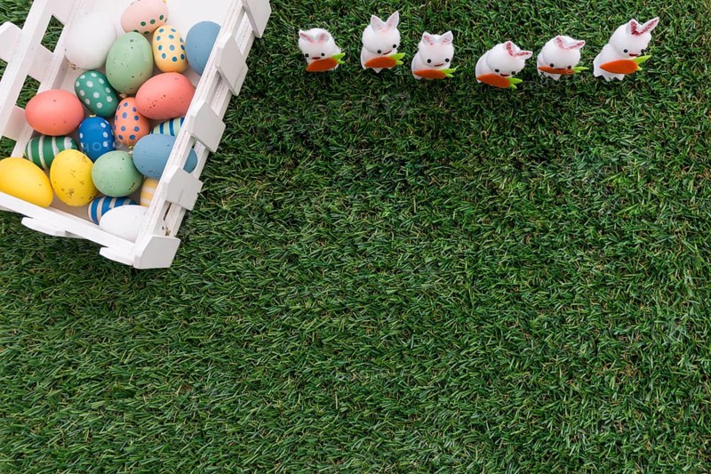 Easter eggs rabbits grass surface