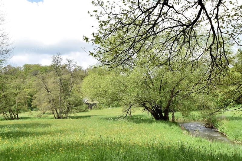 Extensively used meadows in the valley of the Nahe tributary Kyrbach near Oberkirn in the Hunsrueck in summer