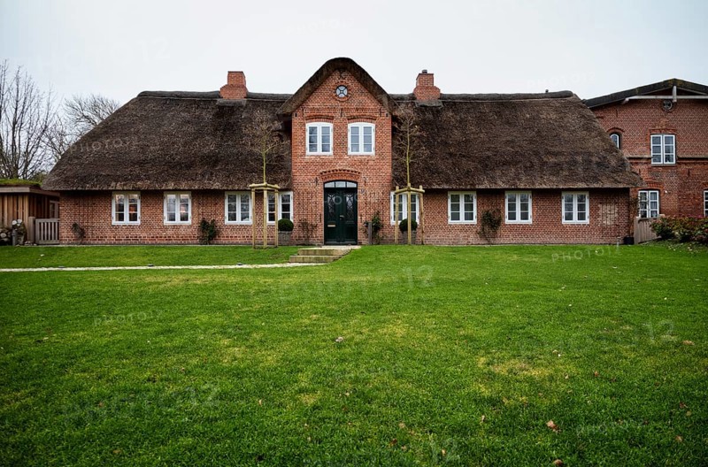 Frisian house with thatched roof