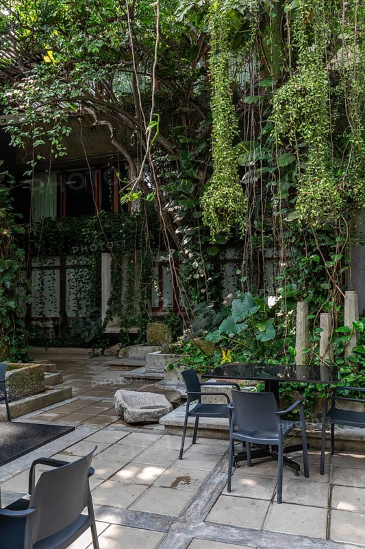 Green courtyard in a hotel