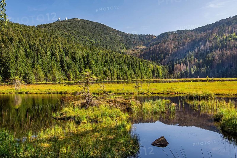 Nature reserve Kleiner Arbersee with floating islands and Grosser Arber 1456m