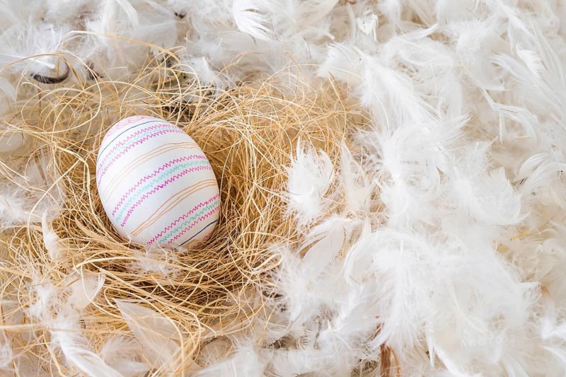 Easter egg hay heap feathers