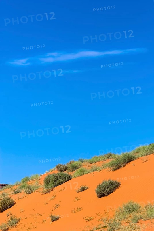 Orange-coloured dune landscape in Monument valley