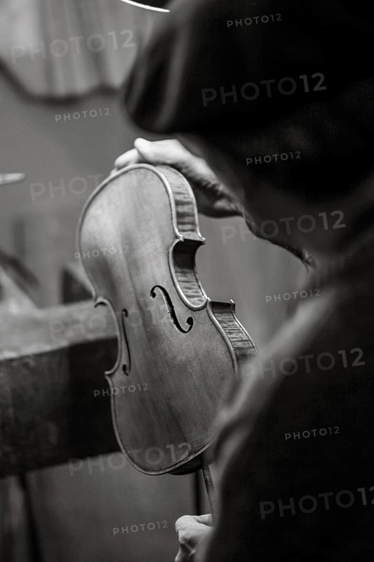 Senior expert violin maker luthier