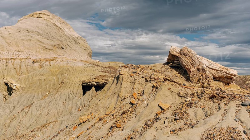 Petrified Forest Sarmiento