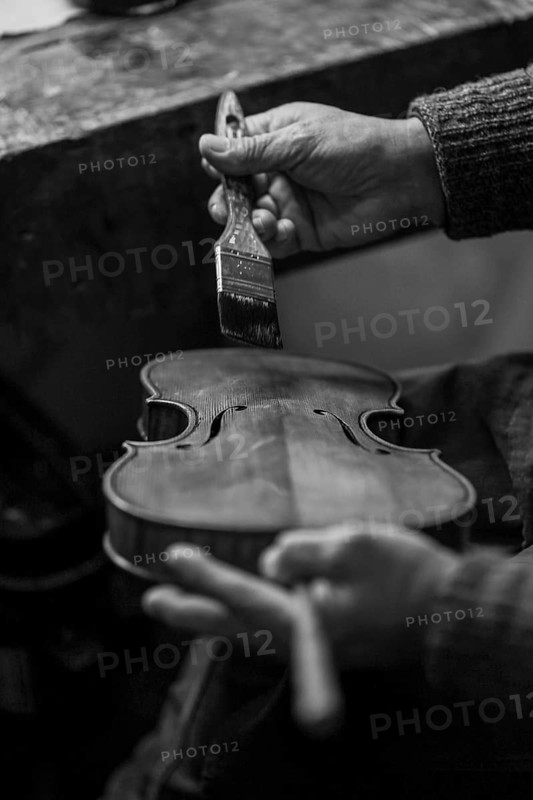 Senior expert violin maker luthier