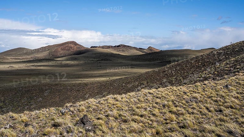 Patagonian steppe