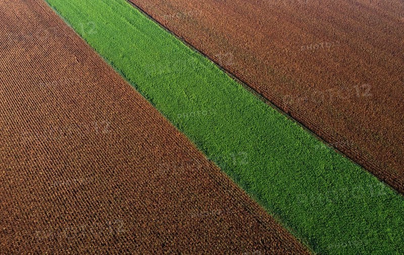 Drone view of a brown maize field with a green meadow strip