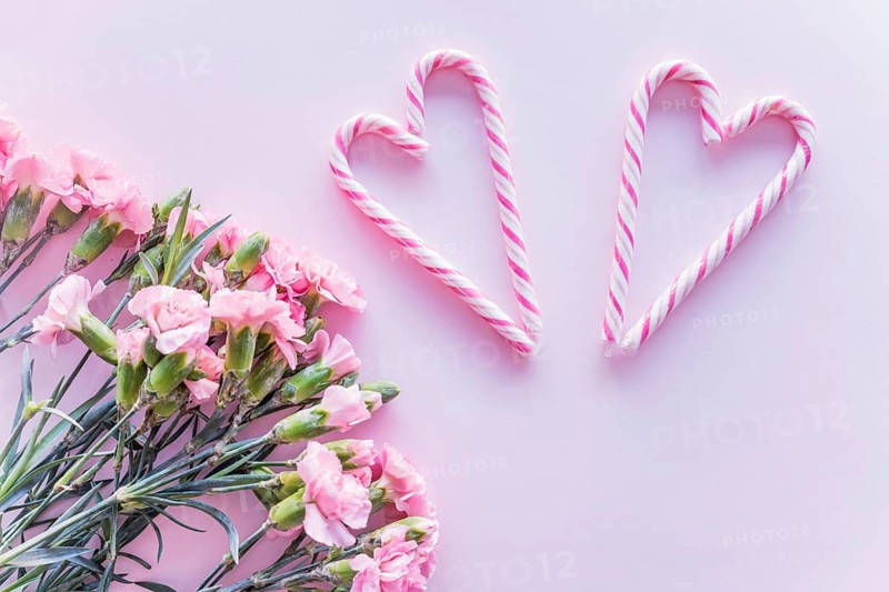 Candy canes heart shape with flowers