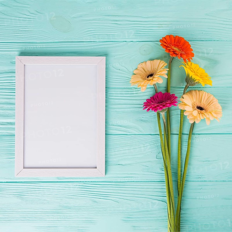 Gerbera flowers with blank frame table
