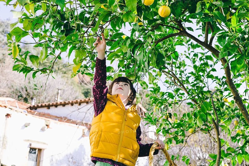 Girl lemon tree