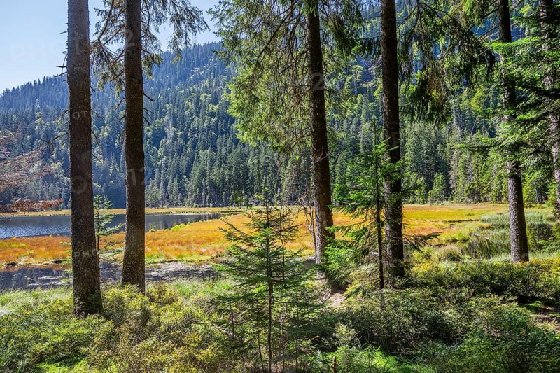 Nature reserve Grosser Arbersee with lake wall 1340m