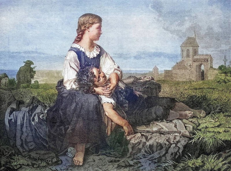 Orphans