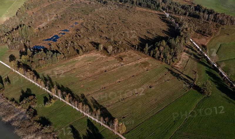 Drone image