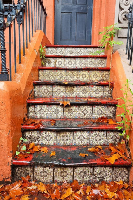 Old staircase with tiles and foliage
