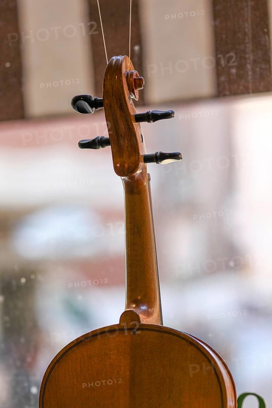Violinmaker luthier artisan workshop in Cremona