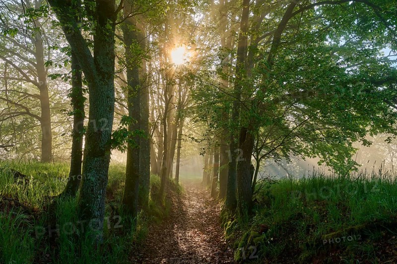 Hiking trail