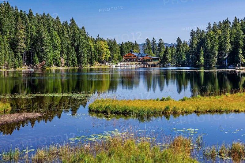 Nature reserve Grosser Arbersee with Arberseehaus