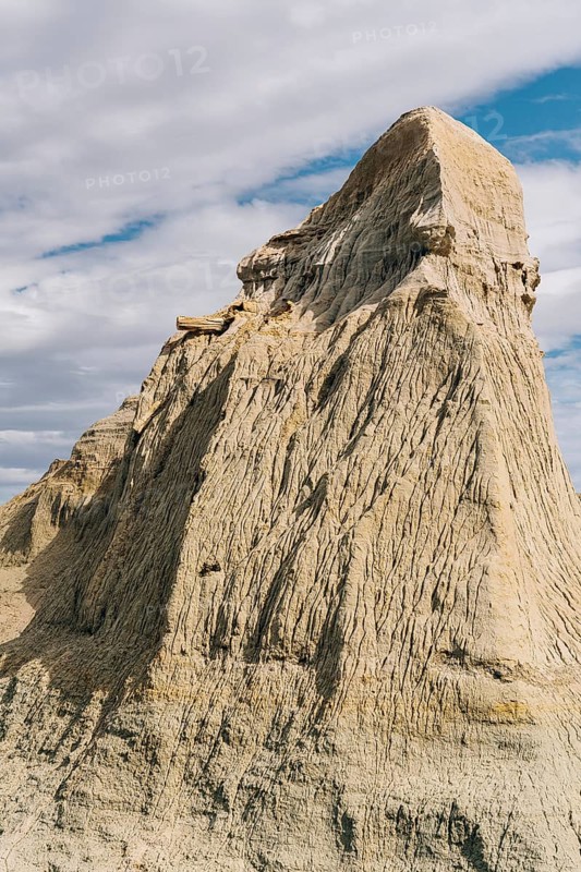 Petrified Forest Sarmiento