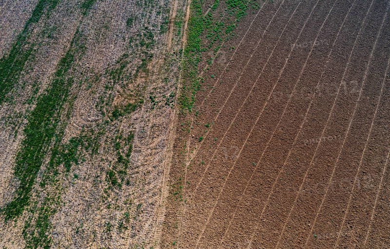 Drone view of harvested fields