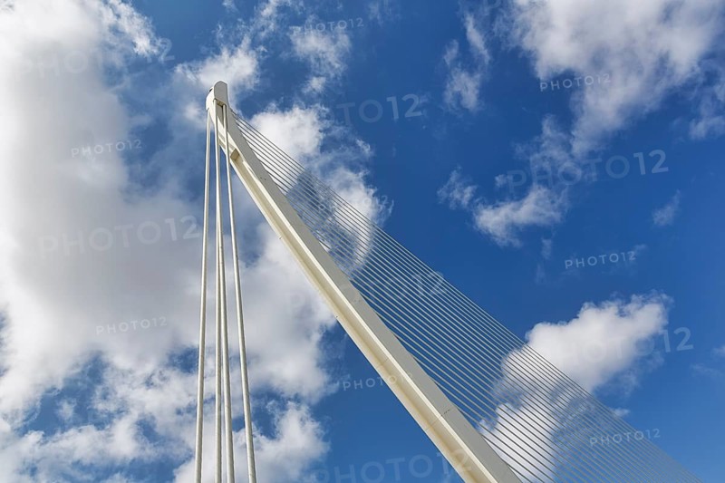 White cable-stayed bridge in the shape of a harp