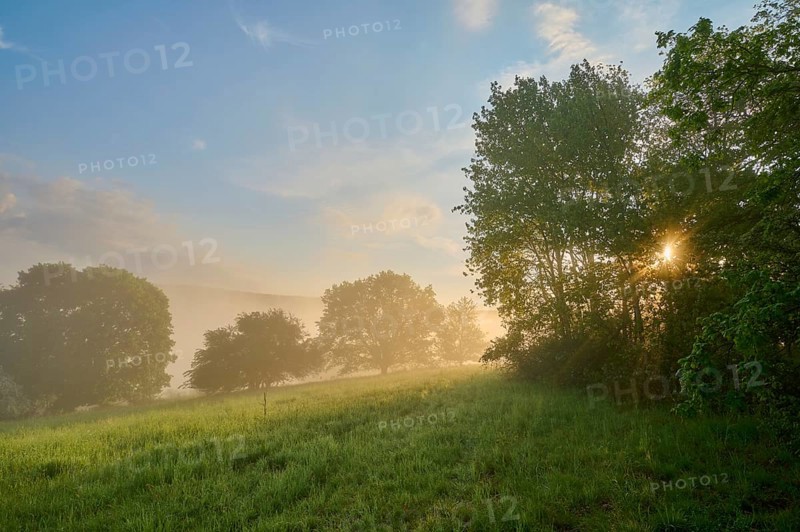 Meadow