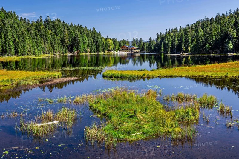 Nature reserve Grosser Arbersee with Arberseehaus