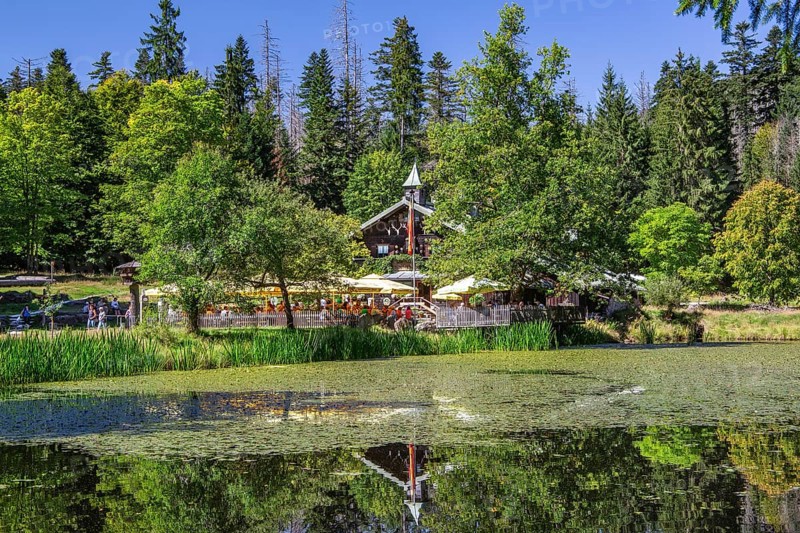 Schwellteich pond with the historic Trifterklause Schwellhaeusl inn in the Bavarian Forest National Park