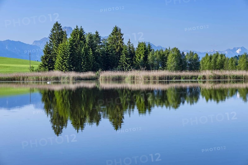 Panorama at Schmutterweiher